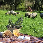 Casa De Vilar De Rei, A Tranquilidade Do Mundo Rural