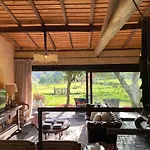 Casa De Vilar De Rei, A Tranquilidade Do Mundo Rural