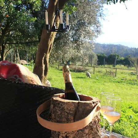 Casa De Vilar De Rei, A Tranquilidade Do Mundo Rural Понте-де-Лима