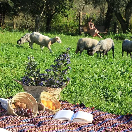 Casa De Vilar De Rei, A Tranquilidade Do Mundo Rural
