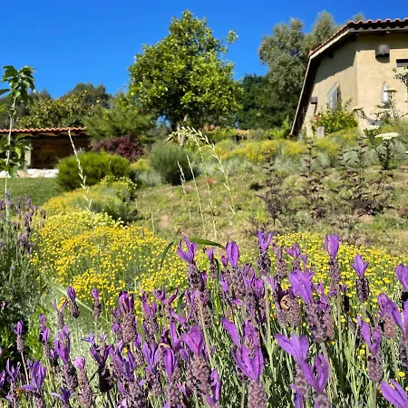 Casa De Vilar De Rei, A Tranquilidade Do Mundo Rural Feriehus Ponte de Lima