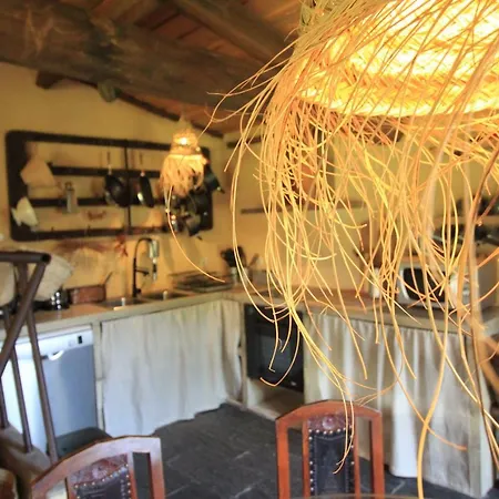 Casa De Vilar De Rei, A Tranquilidade Do Mundo Rural Holiday home