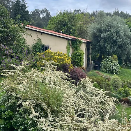 Casa De Vilar De Rei, A Tranquilidade Do Mundo Rural *