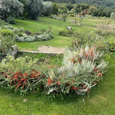 Vakantiehuis Casa De Vilar De Rei, A Tranquilidade Do Mundo Rural Ponte de Lima