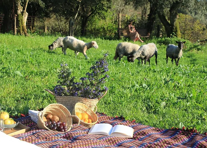 Casa De Vilar De Rei, A Tranquilidade Do Mundo Rural
