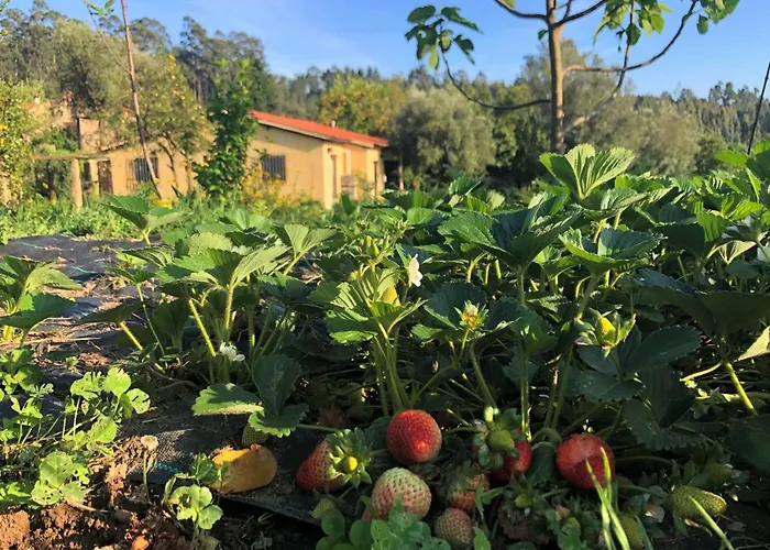 Casa De Vilar De Rei, A Tranquilidade Do Mundo Rural * Ponte de Lima