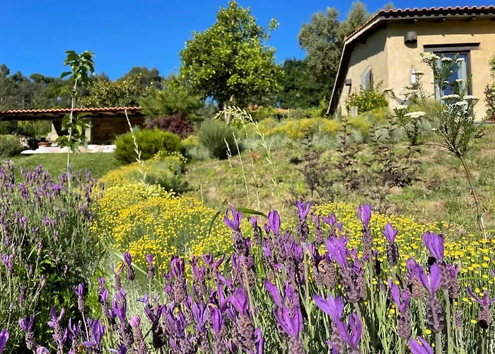 Casa De Vilar De Rei, A Tranquilidade Do Mundo Rural Vakantiehuis Ponte de Lima