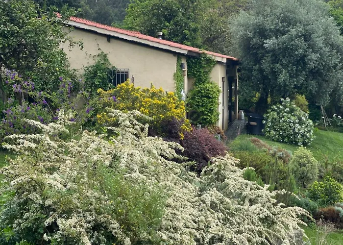 Casa De Vilar De Rei, A Tranquilidade Do Mundo Rural *